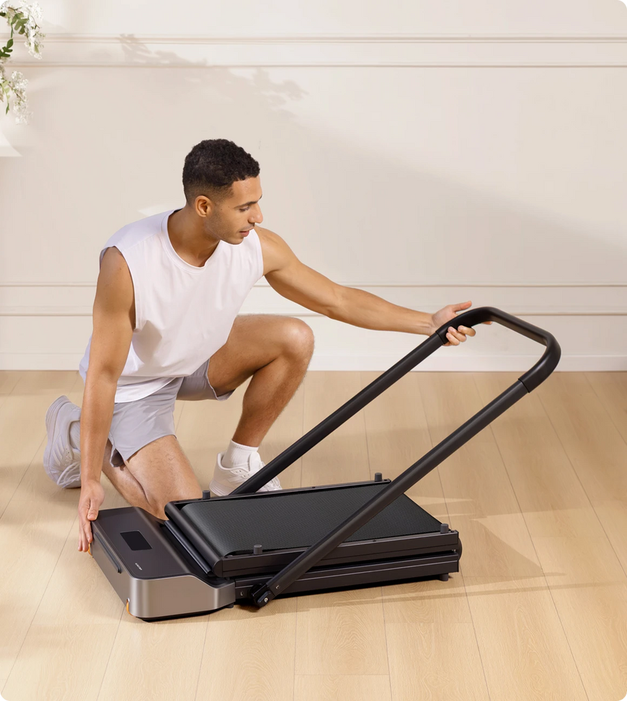 تردمیل تاشو KingSmith WalkingPad Z1R With Handrail